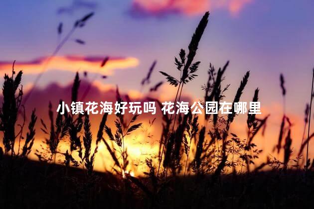 小镇花海好玩吗 花海公园在哪里